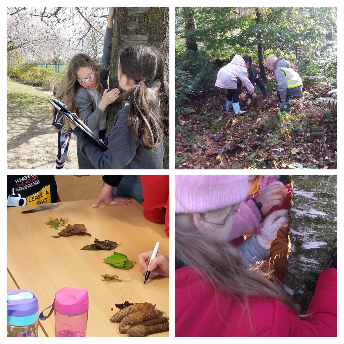 STEMDundee tweet media