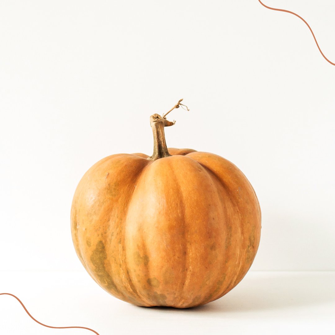 Today is National Pumpkin Day. The perfect day to purchase a Pumpkin for the POV. Any size is $10. Every dollar goes to the <a href="/POVERELLOcentr/">Poverello Center</a>.