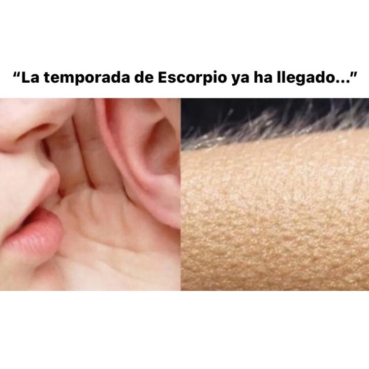 escorpio_hn's tweet photo. 🤣🤣🤣 #escorpio #horoscoponegro https://t.co/0wY8VjrI2E