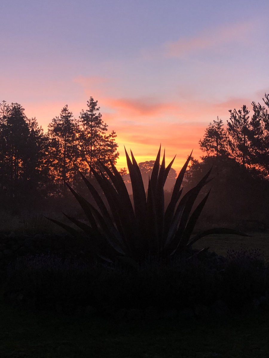 Saludos Raquel, con este bello Amanecer en CANALEJAS y LLANO GRANDE en el Estado de México. . .