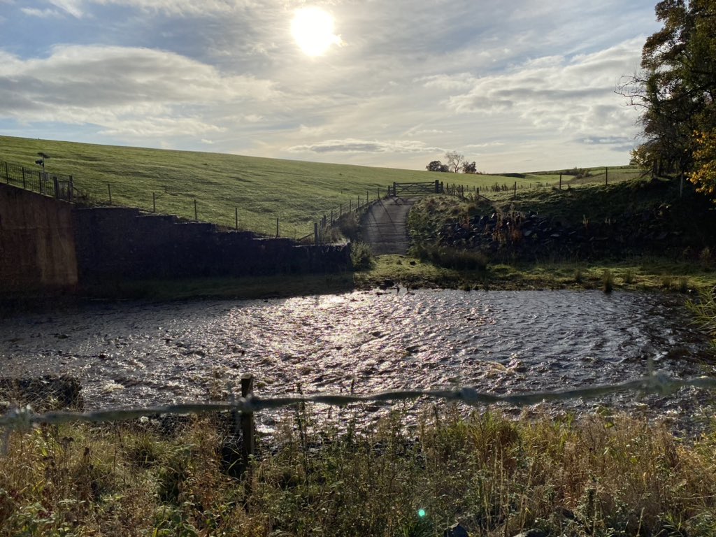 markchapmanEA's tweet photo. Out at #Mitford #Dam #Morpeth with Area staff, the Construction Engineer issued the Final Certificate today, which is great news! The #reservoir is in excellent condition thanks to all area staff involved @EnvAgencyYNE #winterready https://t.co/YuDTFu9orR