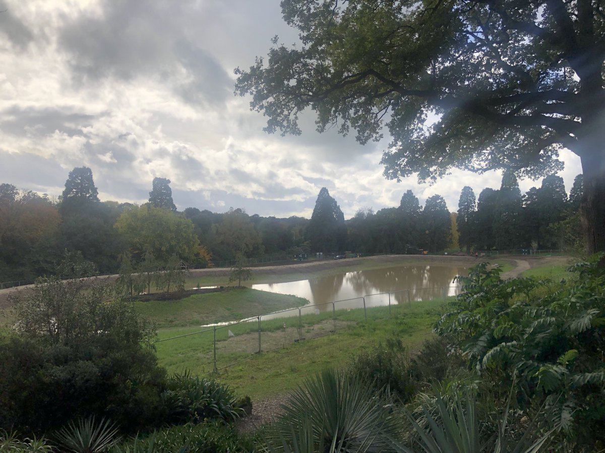 The new Clearwater lake on the old “Trials Field” at Wisley is slowly filling up with the recent rains! ⁦@The_RHS⁩ ⁦@RHSWisley⁩ #gardens #planttrials #landscape