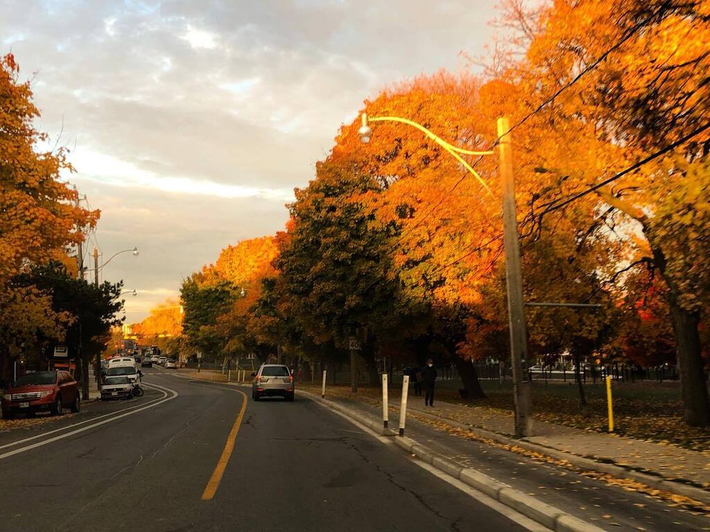 MandaPantsD's tweet photo. Early morning win🍂
#fall #toronto #sunrise https://t.co/gg4QxUuV1E