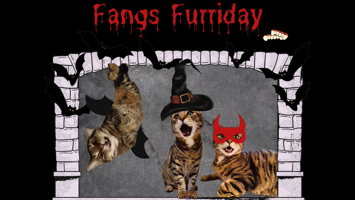 As #HalloweenIsComing, Buster wanted to wish you all a Happy #FangsFurriday! @LisaValo @MissH10766947 @Gaiinz @lymden79 @VickiDigest @TwinklTA @Hattiesfriends @Ka81 @pennywpennyw @poshbird555 @rf_watson @vewilk213 @Headteacherchat @TechHeaddd @mrsLHK79 @primaryteachew @cosydirect