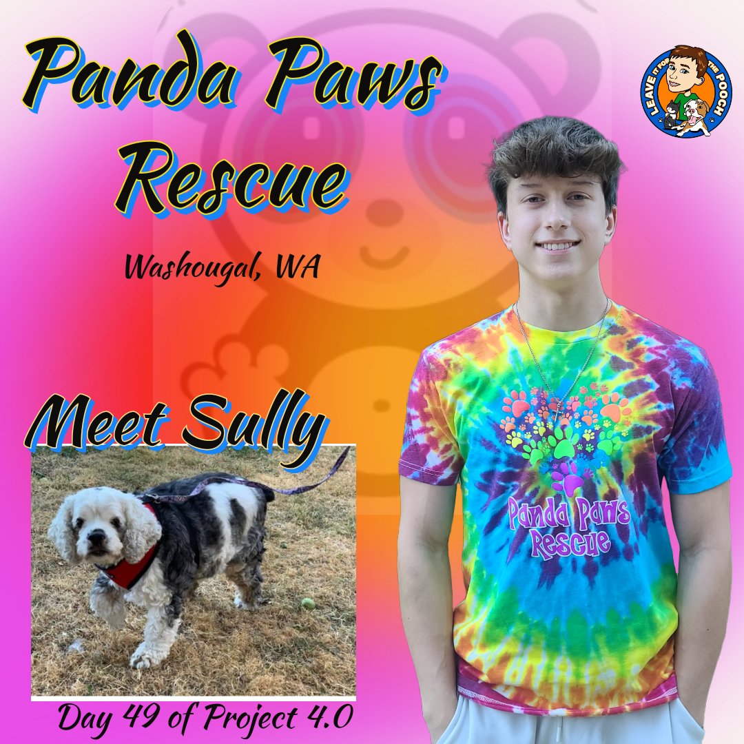 Jayson Kimberly on Twitter: "Day 49 of Project 4.0 Panda Paws Rescue 's