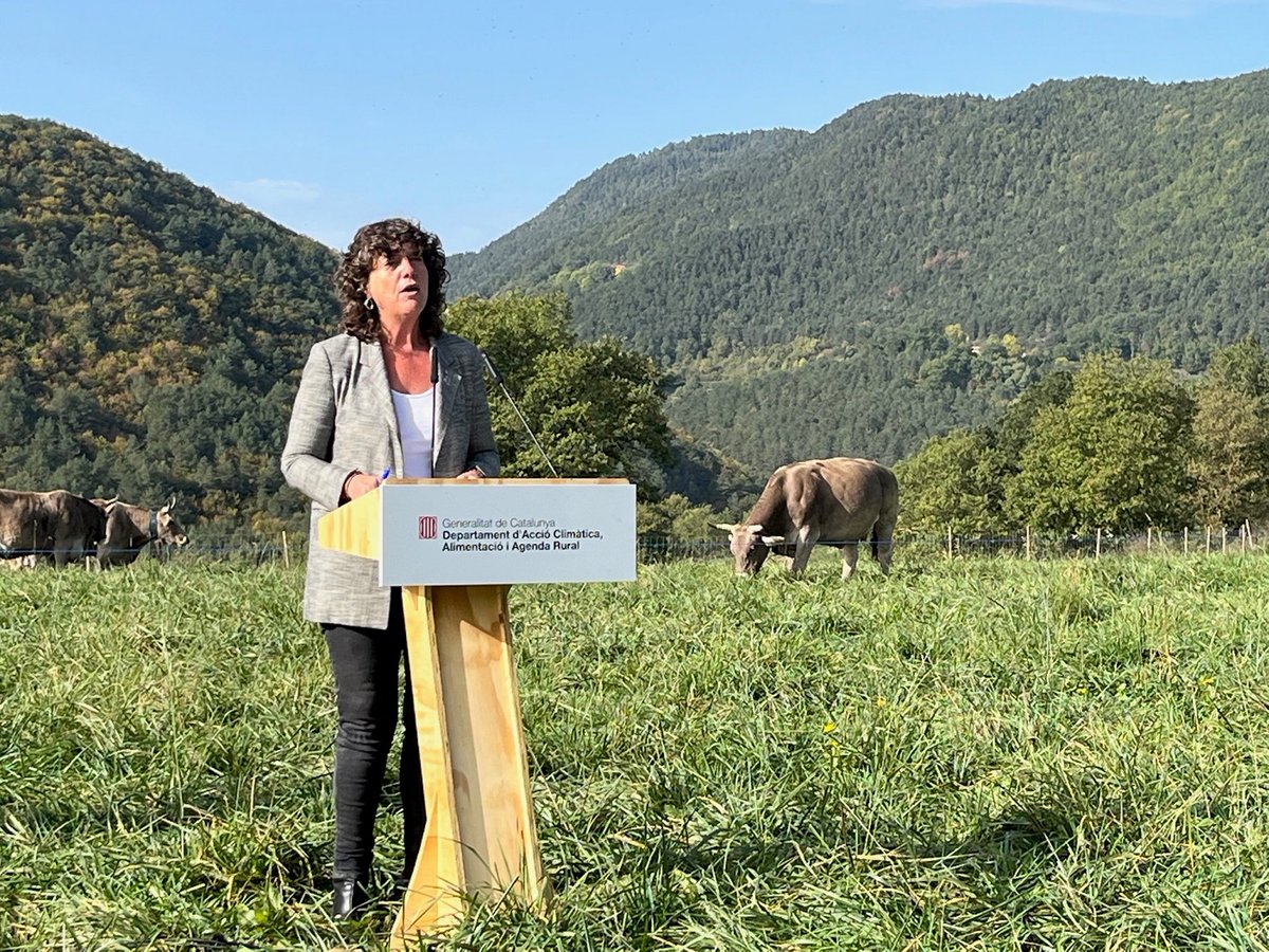 agriculturacat's tweet photo. 🐂 Impulsarem la contractació de ramats que pasturin amb la finalitat de prevenir incendis i millorar la biodiversitat.

🐐 És una de les mesures del Pla de ramaderia extensiva de Catalunya que pretèn millorar en 10  anys la situació d'aquest sector.

https://t.co/j3HVPW8fRV https://t.co/Er7Q77TMad