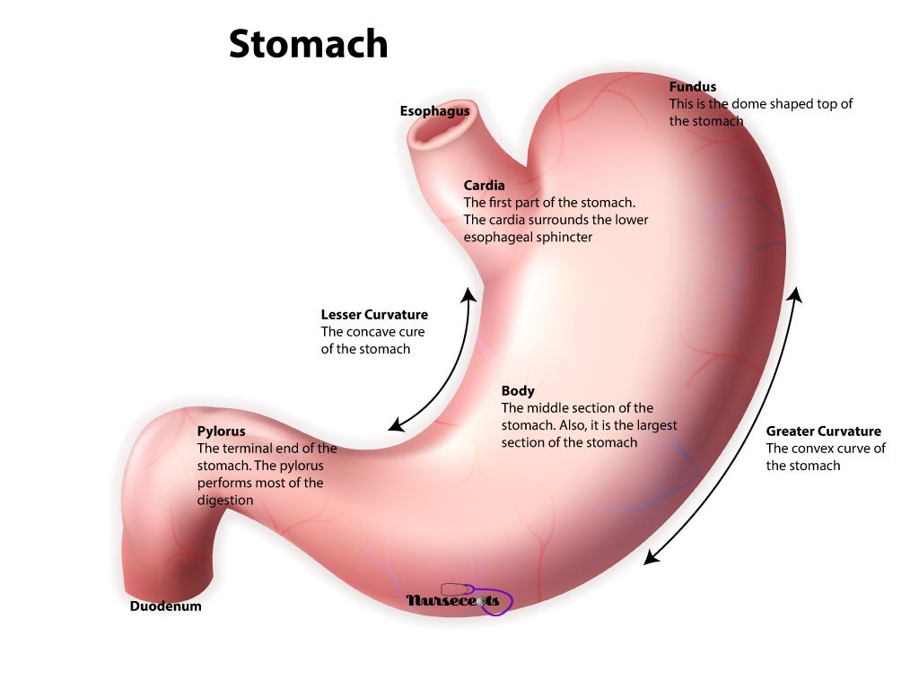 OfDigestive tweet picture