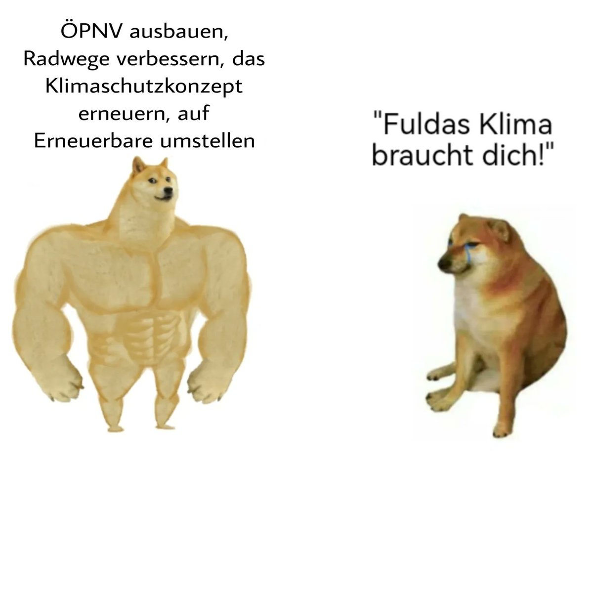 FFF_Fulda's tweet photo. Fuldas Klima braucht in erster Linie EUCH als Stadtverwaltung. https://t.co/HS9yQq3Nyf