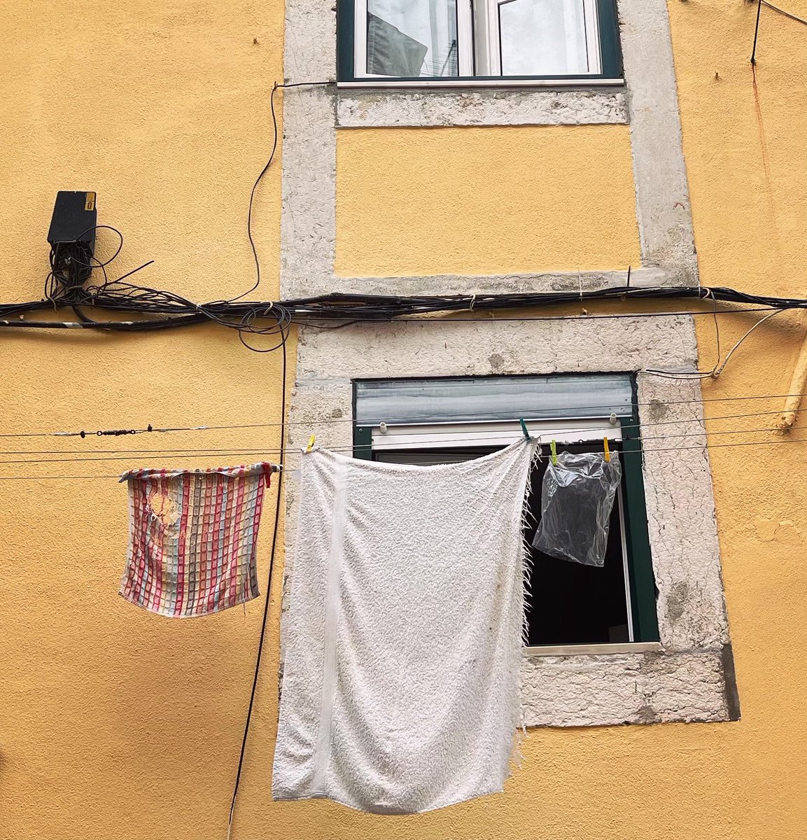 The holy trinity? You are a divine delight Lisbon… obrigado !!(gender🐰?) 

Nos vemos esta noche, Barcelona…

#bodyofwork