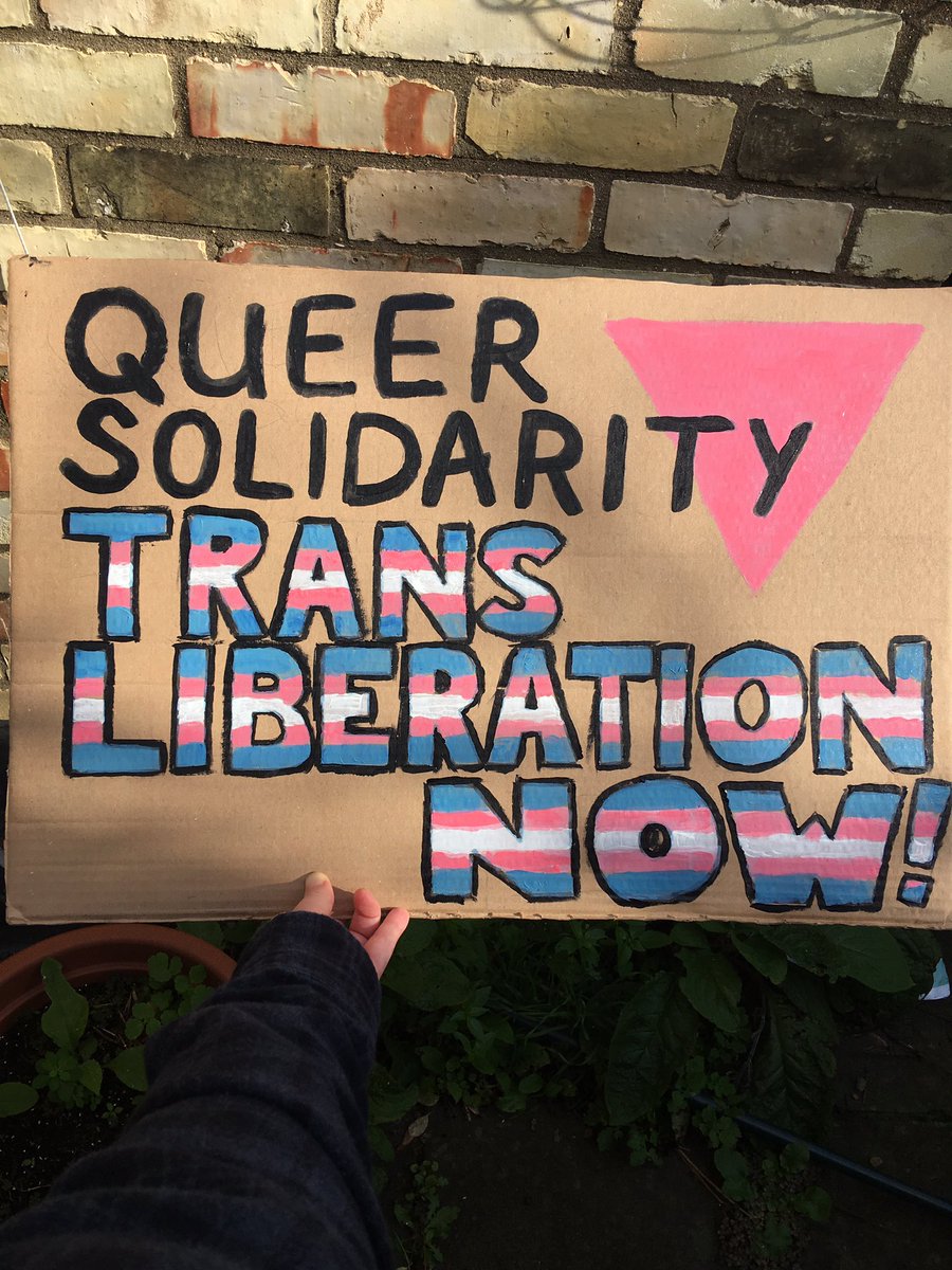 sarra forte tweet media