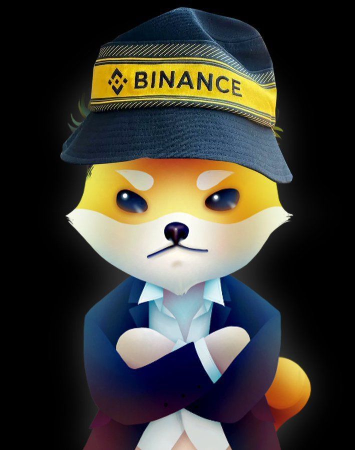 yumekoDOGELON's tweet photo. @binance #BinanceELON
Dogelon warriors are here
#Binance #dogelonmars 
@DogelonMars https://t.co/Wicd11pq7g