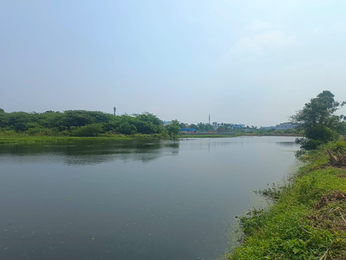 Glimpse of the #PuduthangalLake Restoration by E.F.I A lake that was once covered by a thick layer of water hyacinth is now finally able to breathe again in peace! We thank Thiru. @rnadh avl, & the District Administration for supporting this effort. Stay tuned for more updates!