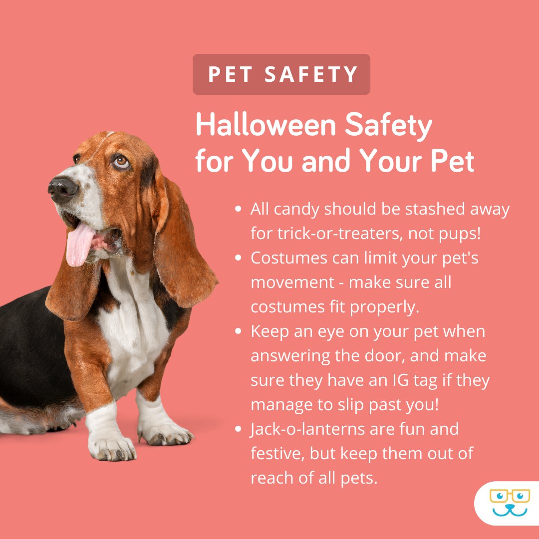 sugar_animal's tweet image. Are you and your pet ready for a spooky Halloween? Keep these tips in mind as celebrations unfold, and make sure that you have a safe and fun holiday! #sugarriverahgratham #grathampets #sugarriveranimalhospital #sugarriverah.