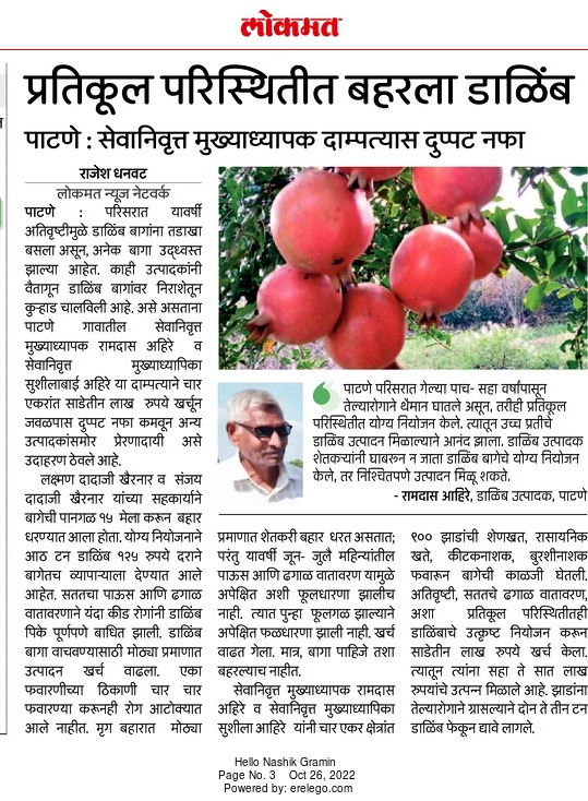 InfoNashik's tweet photo. प्रतिकूल परिस्थितीत बहरला डाळिंब;
पाटणे: सेवानिवृत्त मुख्याध्यापक दाम्पत्यास दुप्पट नफा
#Nashik #agriculture #Pomegranate #cultivatingmindandspirit #doubble #income #success #story https://t.co/GcLZiVdC3k