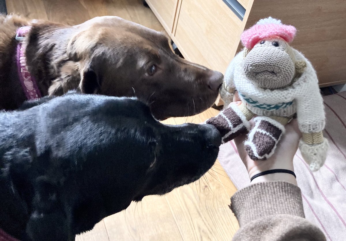 Felton Fundraising tweet media