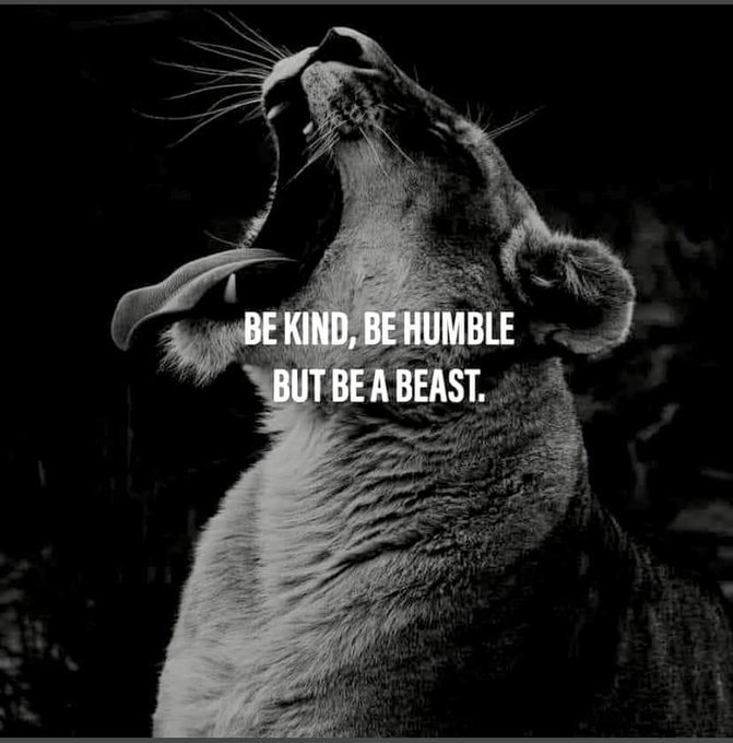 🎯💥💯‼️ beasts do beast shit. But queen beasts always have love and respect, #stayhumble #StayHungry #StayStrong<a href="/tag/stayhumble"class="tags"><span>#stayhumble</span></a><a href="/tag/staystrong"class="tags"><span>#staystrong</span></a><a href="/tag/stayhungry"class="tags"><span>#stayhungry</span></a>