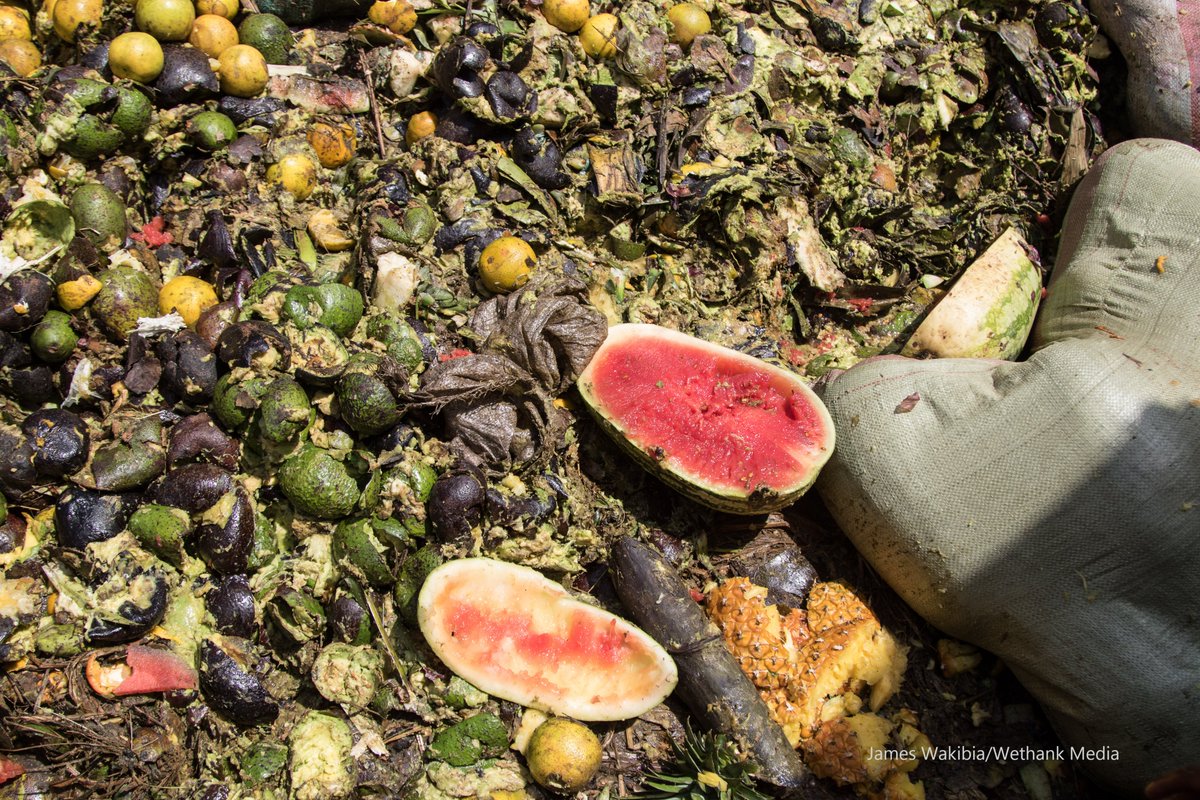 Consumer food-waste interventions should take full consideration of everyday food practices and the factors that affect them and the generation of food surplus and food waste. #offsetmyfoodwaste #zerofoodwaste #wastemanagement #blacksoldierfly #climateactionweek