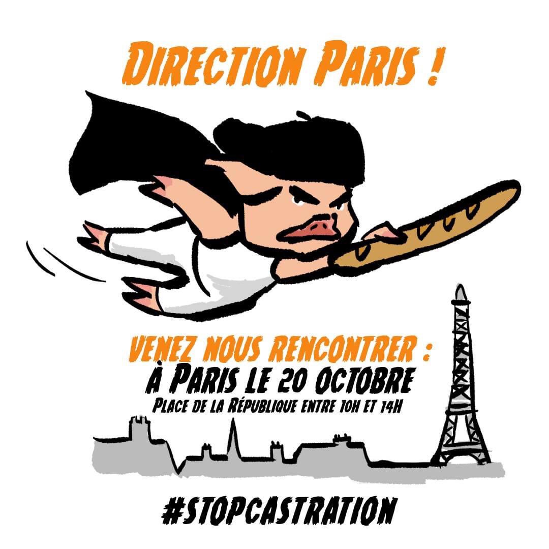 Welfarm's tweet photo. Sur le chemin vers Paris, Couic a décidé de faire un petit arrêt surprise aujourd’hui... mais où ?!
Restez connectés...
#NeCoupezPas
#StopCastration 🐷💢 https://t.co/5CkyKz5ZJu