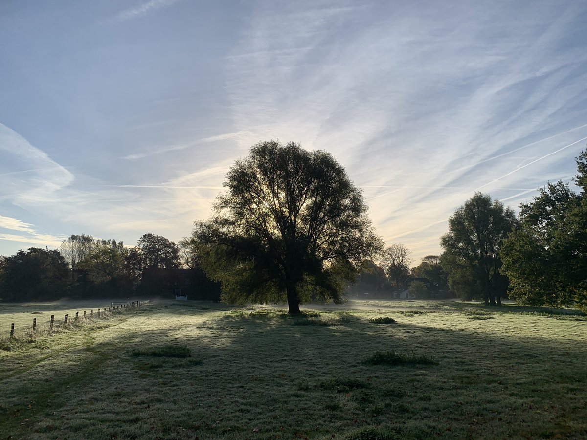 Goedmorgen! Speciaal voor <a href="/elsv62/">els jans</a> die mij altijd zo vrolijk maakt met haar foto’s