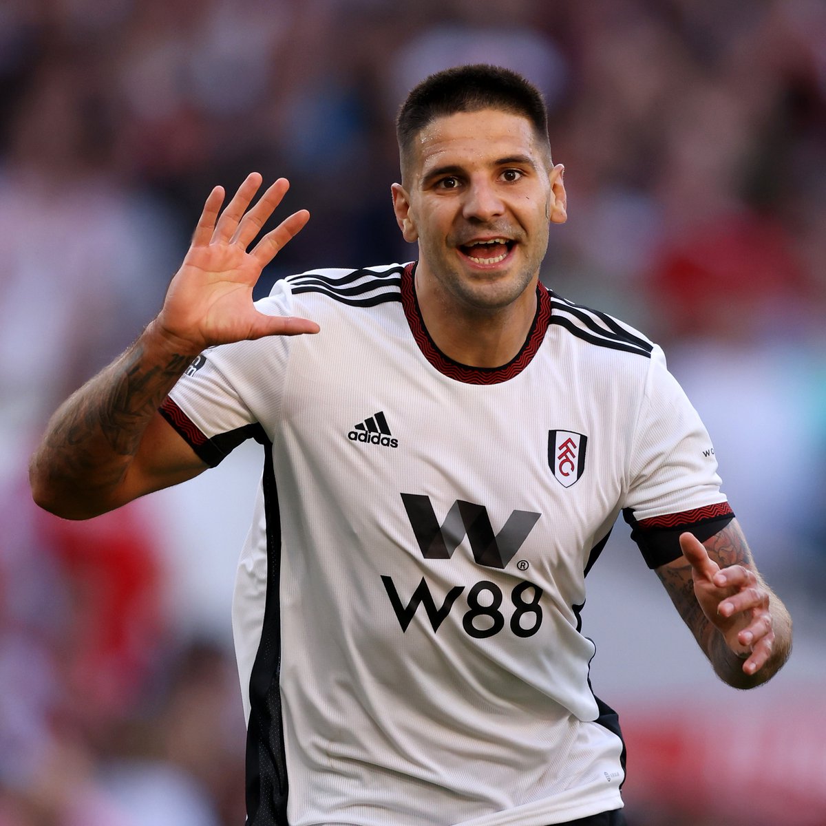 📈 #FPL PRICE RISERS 📈

Mohamed Salah - £12.8m
Aleksandar Mitrovic - £6.8m
Pierre-Emile Hojbjerg - £5.6m
Miguel Almiron - £5.3m
Fabian Schar - £4.9m
Lewis Dunk - £4.7m