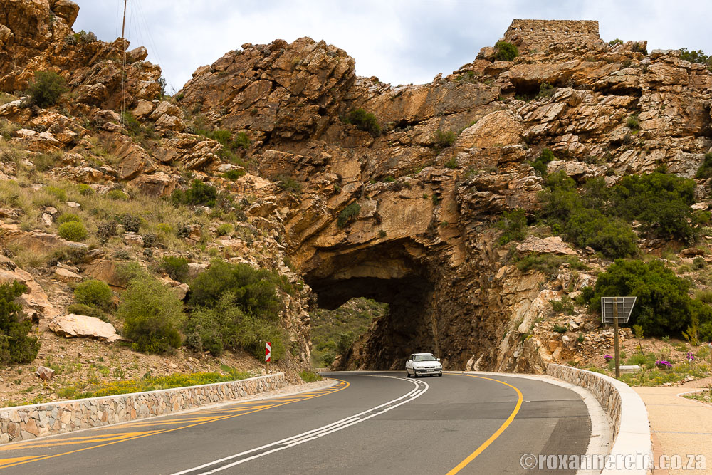 22 things to do in Montagu on Route 62 in the Klein Karoo roxannereid.co.za/blog/things-to…