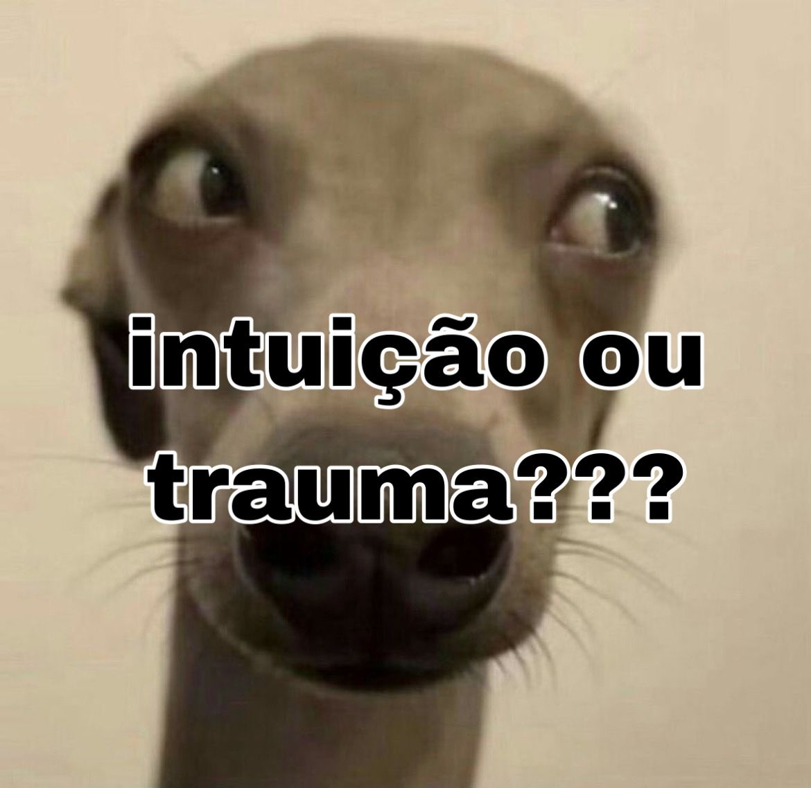 cleytu's tweet photo. serasse tô ficando doida https://t.co/9m7ZtGif4h