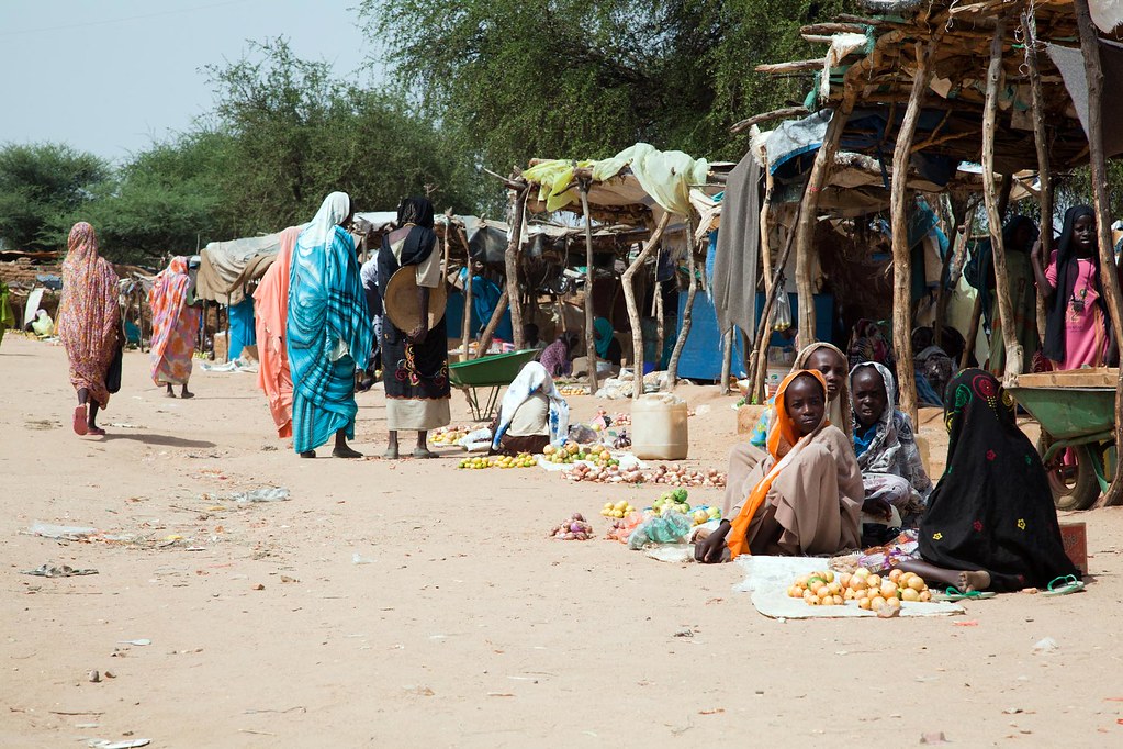 Refugefoundatn's tweet photo. Principle 2 of the Guiding Principles on displacement states that these principles should be observed and applied by all without discrimination, and that the legal status of anyone observing these principles should not be affected. #forcibledisplacement #Refugees #idps https://t.co/yVQtdQ5Io8