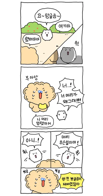 미용실 그 후 이야기.. 