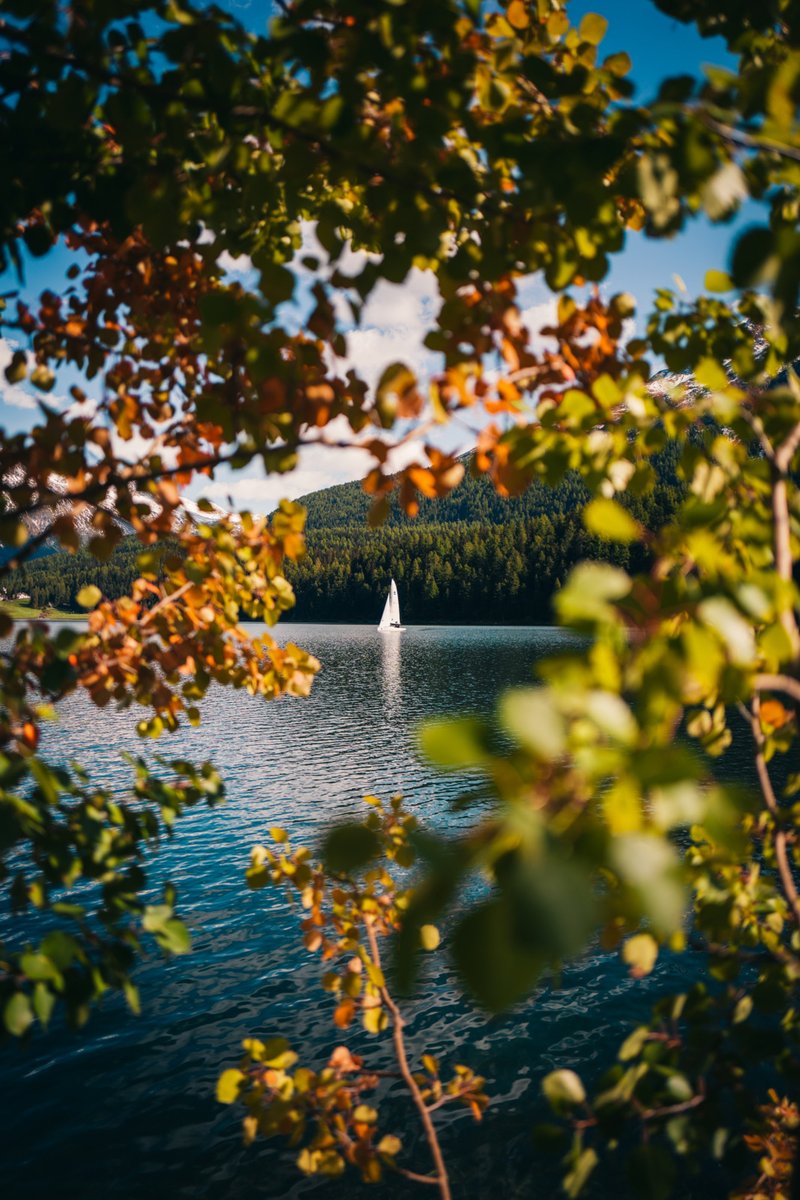 Mit 49'899 Logiernächten können die Hotels in St. Moritz das beste Ergebnis für den Monat September in den vergangenen 10 Jahren ausweisen. Der September 2022 schliesst damit +7,6 % gegenüber dem Vorjahr und liegt um 0,03 % über dem Rekordjahr von 2019.