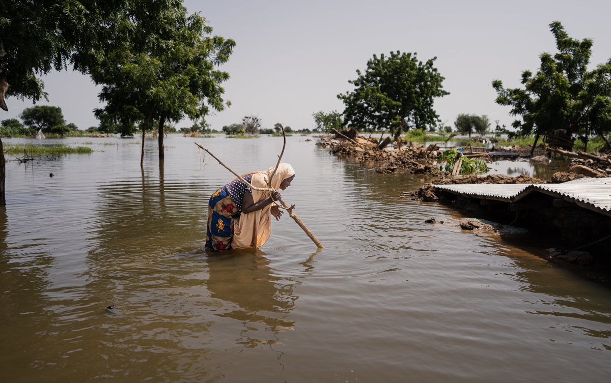 Evelyn_Etti's tweet photo. Devastating flooding across the West Africa region has affected five million people. @WFP is on the ground helping families. A Call-To-Action has been issued for support. #ZeroHunger #WestAfrica 

Read More: https://t.co/cPczUNIz5E https://t.co/unBm2lVqbg
