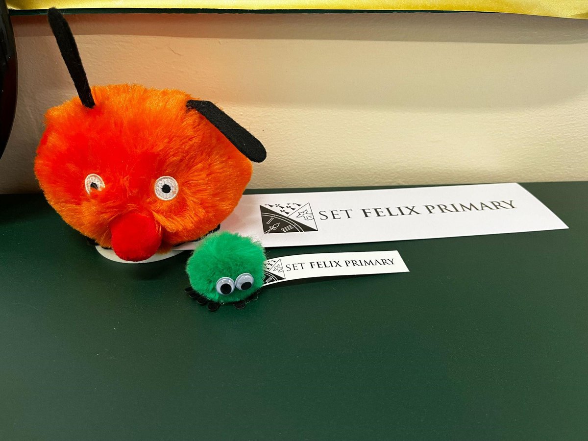 SETFelixPrimary's tweet photo. We held the first of our open events for the Reception intake for September 2023. It was lovely to meet new families and show them around the school. The children who came to visit were lucky enough to take away one of our new school bugs!

#reception2023 #AdmissionsOpen https://t.co/rny00KQYno