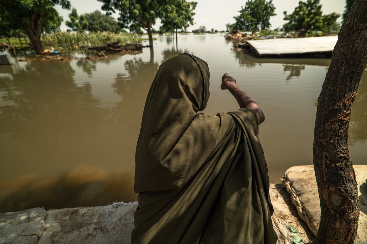 Evelyn_Etti's tweet photo. Devastating flooding across the West Africa region has affected five million people. @WFP is on the ground helping families. A Call-To-Action has been issued for support. #ZeroHunger #WestAfrica 

Read More: https://t.co/cPczUNIz5E https://t.co/unBm2lVqbg