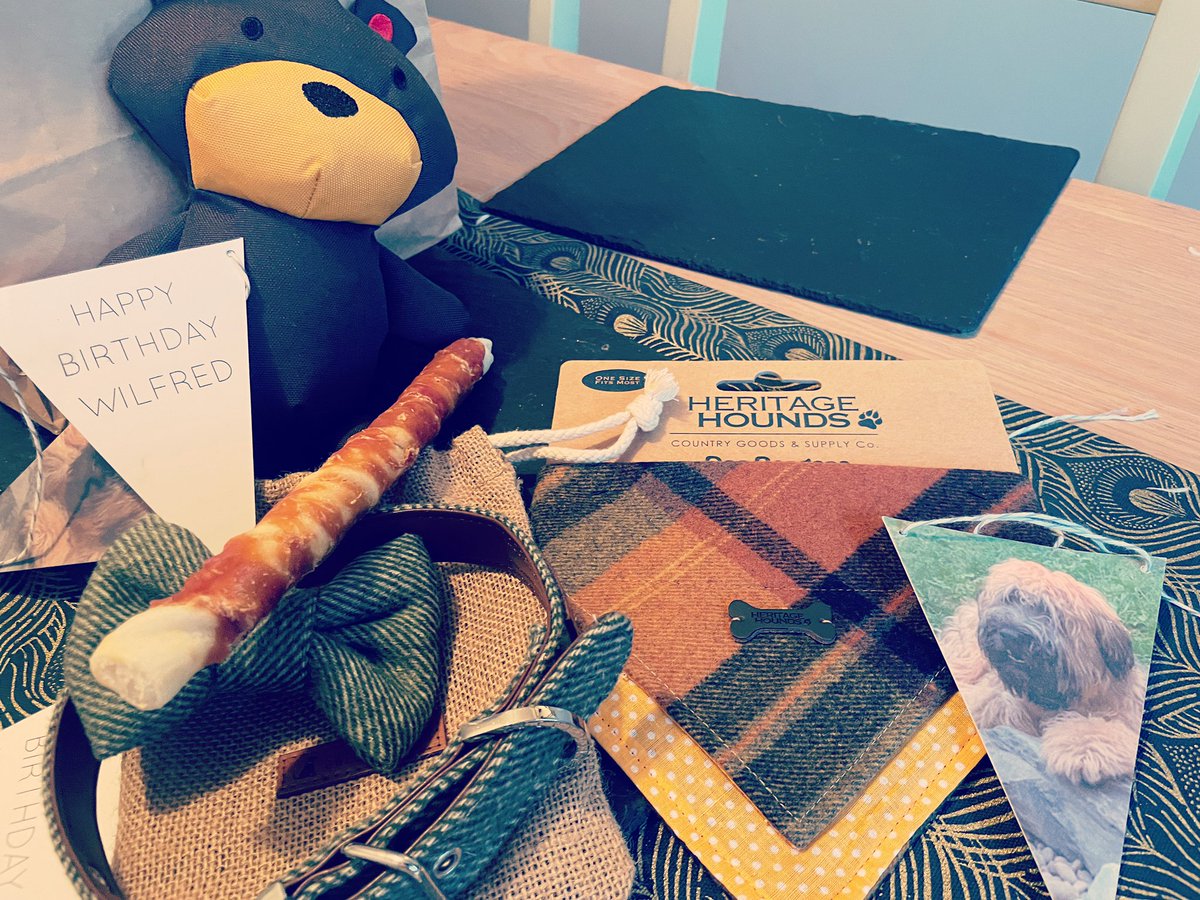 Today’s my birthday. I’m 4 !. I have grown up presents and a new teddy and chew. Parents are poop with this Covid-19 malarkey so celebrating quietly xx