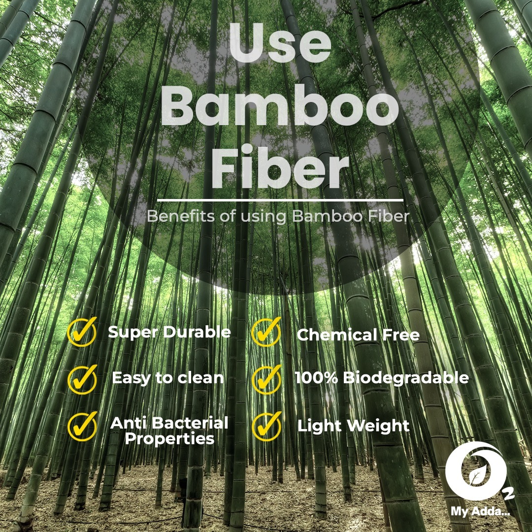 O2myadda's tweet photo. Bamboo is not only highly fashionable for decorative purposes but useful too.  #o2myadda #o2time #o2prodhyaam #bamboo #bamboofiber #bambooplant #bkisan #kisanpathshala #bambooindia #ecofriendly #nature #sustainable #handmade #bambu #zerowaste #natural #green #bambootoothbrush https://t.co/kSyxu4j05x