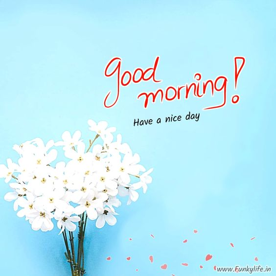 Lord i trust in your unfailing love, in your promise, i give this day and all that it holds to you .may we walk in your goodness knowing your gentle hand will guide us and keep us ....Amen..