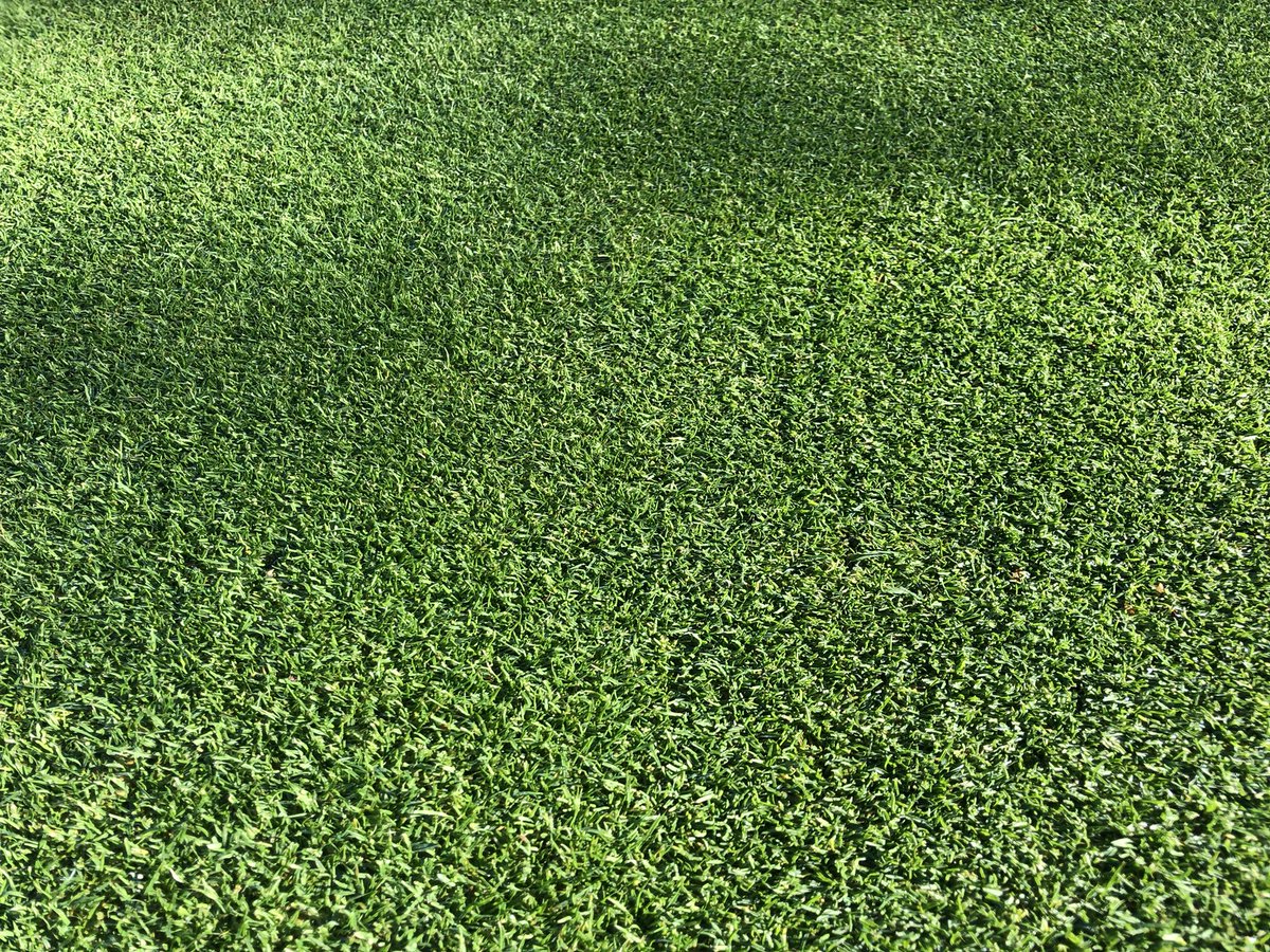 More excellent surfaces for October!Turf health being kept strong 💪🌱<a href="/AgrovistaAMNTY/">Agrovista Amenity</a>