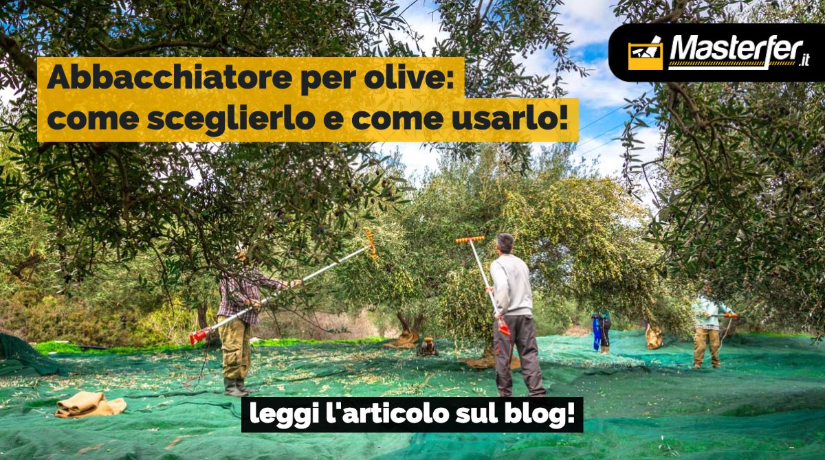 Masterfer.it tweet media