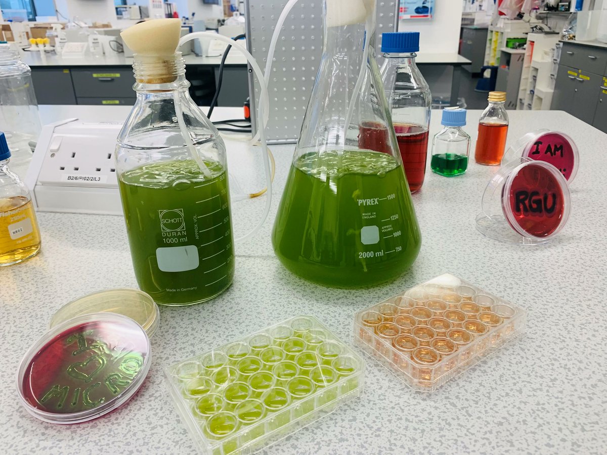 RGUSPASPH's tweet photo. Great turnout on Saturday @RGUPALS for #RGUOPENDAY!
Dean Susie led with a PALS course overview
Both staff&students welcomed visitors with
lab 🥼🧪tours & course information pods. Fab day had by all!! #pharmacy #bioscience #biomedicalscience #forensics #FNHH #appliedbioscience https://t.co/OcomOkw1I0