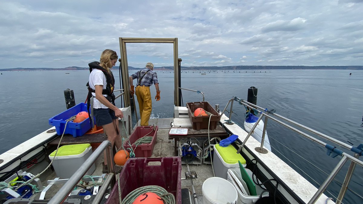 ProfEmmaSheehan's tweet photo. Another successful summer Lyme Bay season completed. Amazing effort by our underwater video team - data will ground truth #fishintel habitat maps and build on our important #mpa time series data @fish_intel @Channel_Manche @NaturalEngland @DefraGovUK @Bluemarinef @PlymUni https://t.co/gJjxyMpzYt