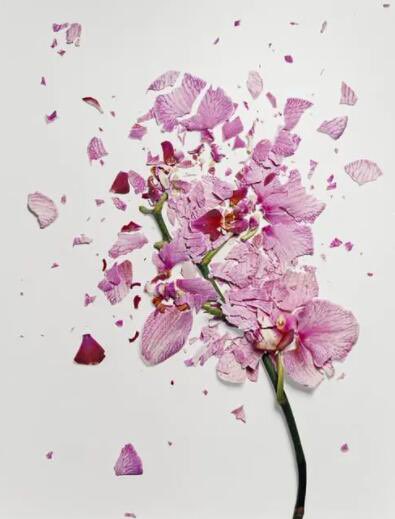 second686's tweet image. BB: 
此刻，耳机连着手机，一遍又一遍单曲循环播放着半吨兄弟《伤心城市》，歌曲的歌词内容和我们之间是有差异，但是这首歌的沙哑而沧桑旋律，却是最能体现我这段日子的心情，很丧，很悲，就像吹得鼓鼓的气球，用针轻轻一扎，就beng的一声破碎了。
〈余下请👀图片〉