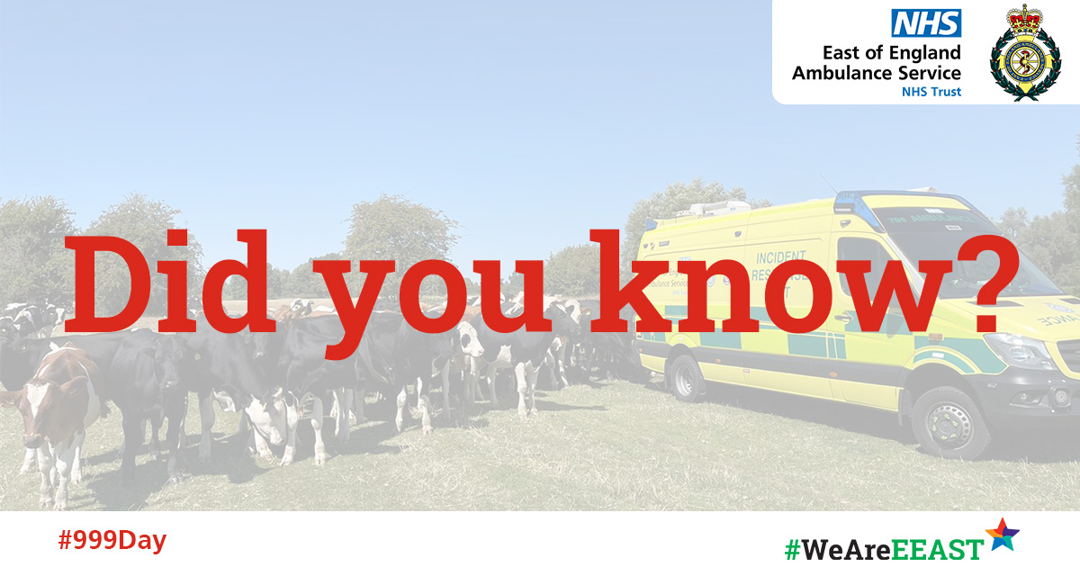 EEAST Ambulance Service tweet media