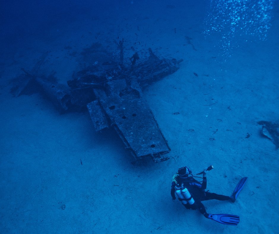 DivingFreedom's tweet photo. Winter is coming...
But that does not mean anything because we never stop diving!
Some might think is challenging, some might find it exciting, bot are right! 
Just give it a go and join one of our dives! https://t.co/TqOkZaimrZ