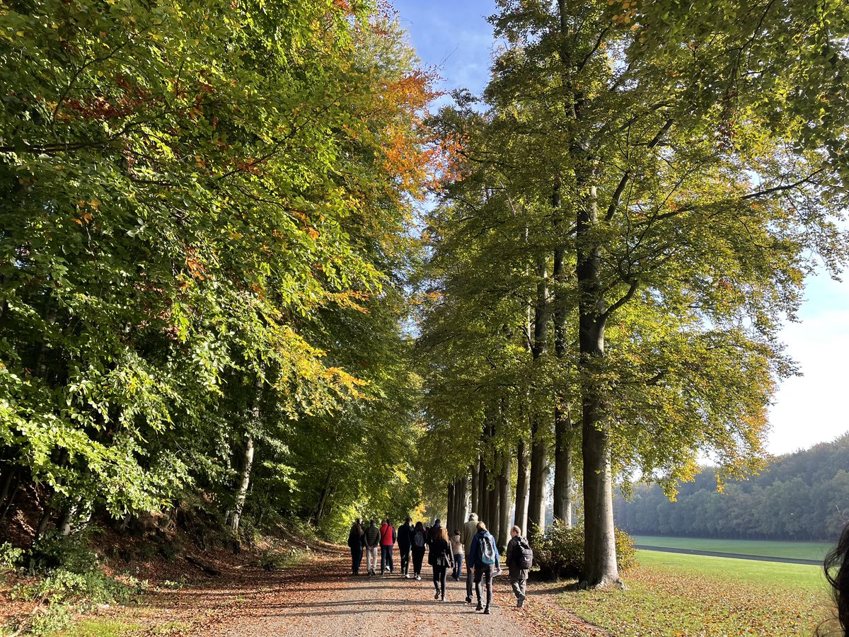 VincenLorusso's tweet photo. Walking 👣our pathway towards more efficient 💪🏼 #TeamWork; in the beautiful autumn scenery of #Tervuren park 🍂🍁- Lots of good strides in sight! 🌈🌞☀️🇪🇺@MariaCrisRusso @EUScienceInnov #TheFutureLooksBright #EUGlobalApproach #DGRTD #InternationalCooperation #MakingItHappen https://t.co/MUJfIvYmeo