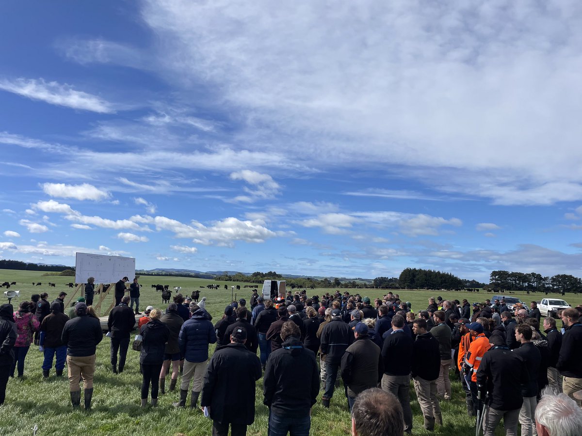 TimMackle1 tweet media