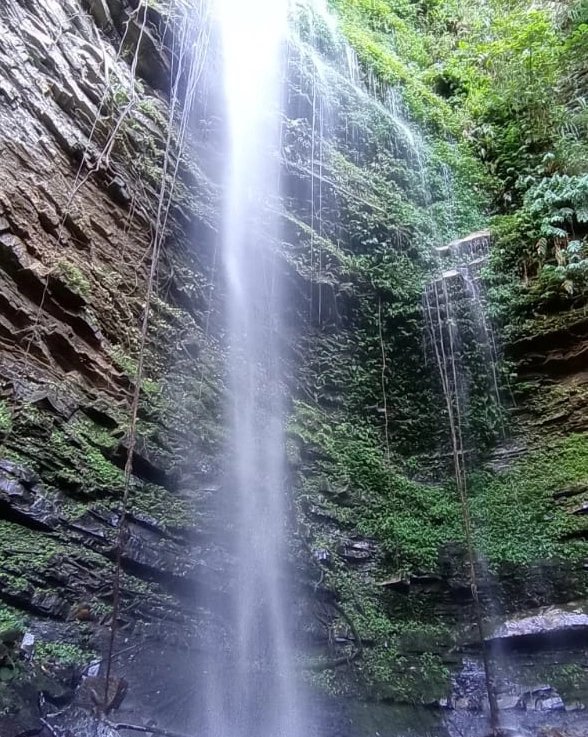 atobalongkumer's tweet photo. Majestic waterfall (local name- Tsumeya Tsuin) at Longkhüm Village, Mokokchung.
#Nature #Longkhum #nagaland #ruralTourism https://t.co/Z9nY15jw5W