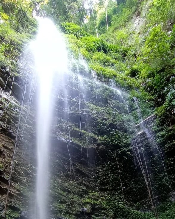 atobalongkumer's tweet photo. Majestic waterfall (local name- Tsumeya Tsuin) at Longkhüm Village, Mokokchung.
#Nature #Longkhum #nagaland #ruralTourism https://t.co/Z9nY15jw5W