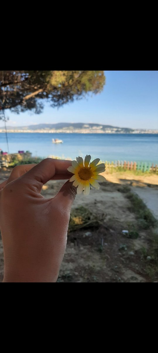 neslmmm's tweet photo. #çanakkale #deniz #günaydın https://t.co/C4mSFCAdWF