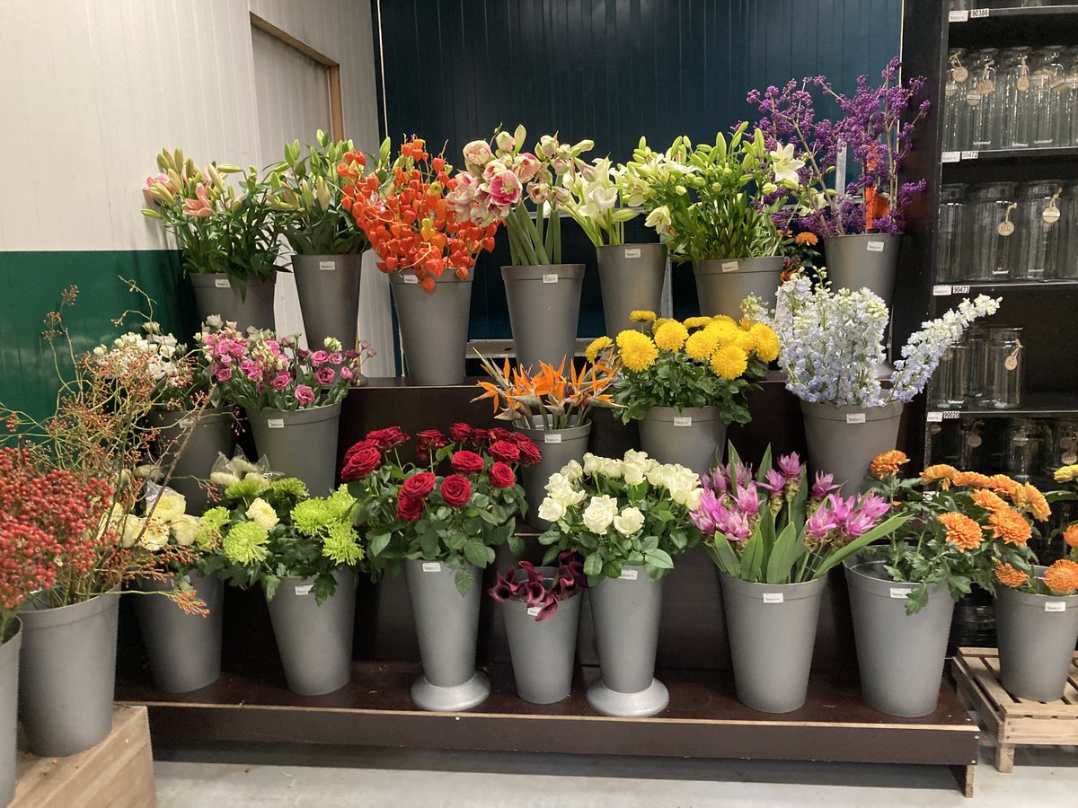 Gewoon omdat bloemen mooi zijn.