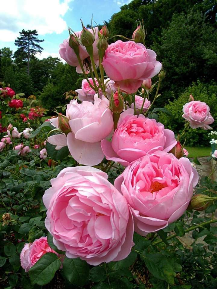 اسلام علیکم ورحمتہ اللہ وبرکاتہ ،
صبح بخیر زندگی.
یہاں جینے کے لئے بے حس ہونا ضروری ہے اور ہمیں احساس کی بیماری ہے!!!