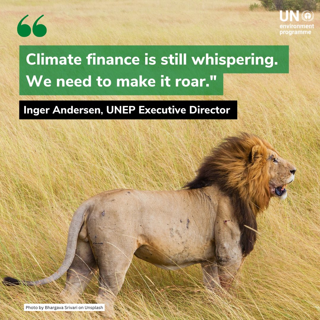 'We need an increase of at least 590% in annual climate finance to get on track for the goals of the Paris Agreement.' @andersen_inger on investment and trade to meet the Paris climate goals: bit.ly/3s4O0R9 #ClimateAction
